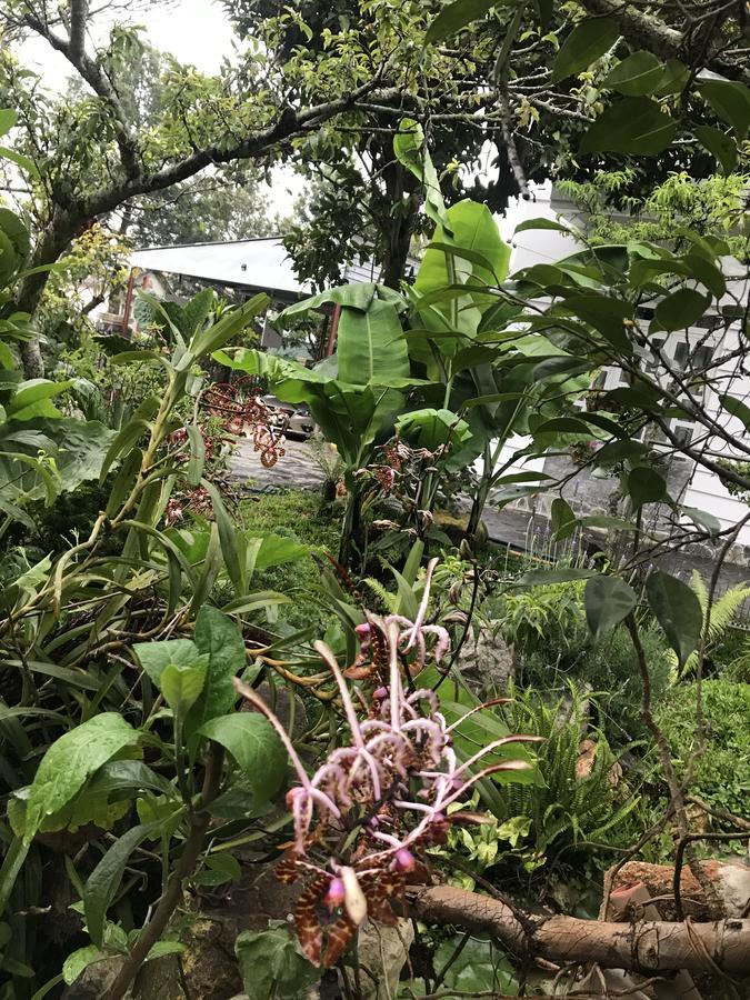 De Daisy Villa Homestay Dalat Luaran gambar