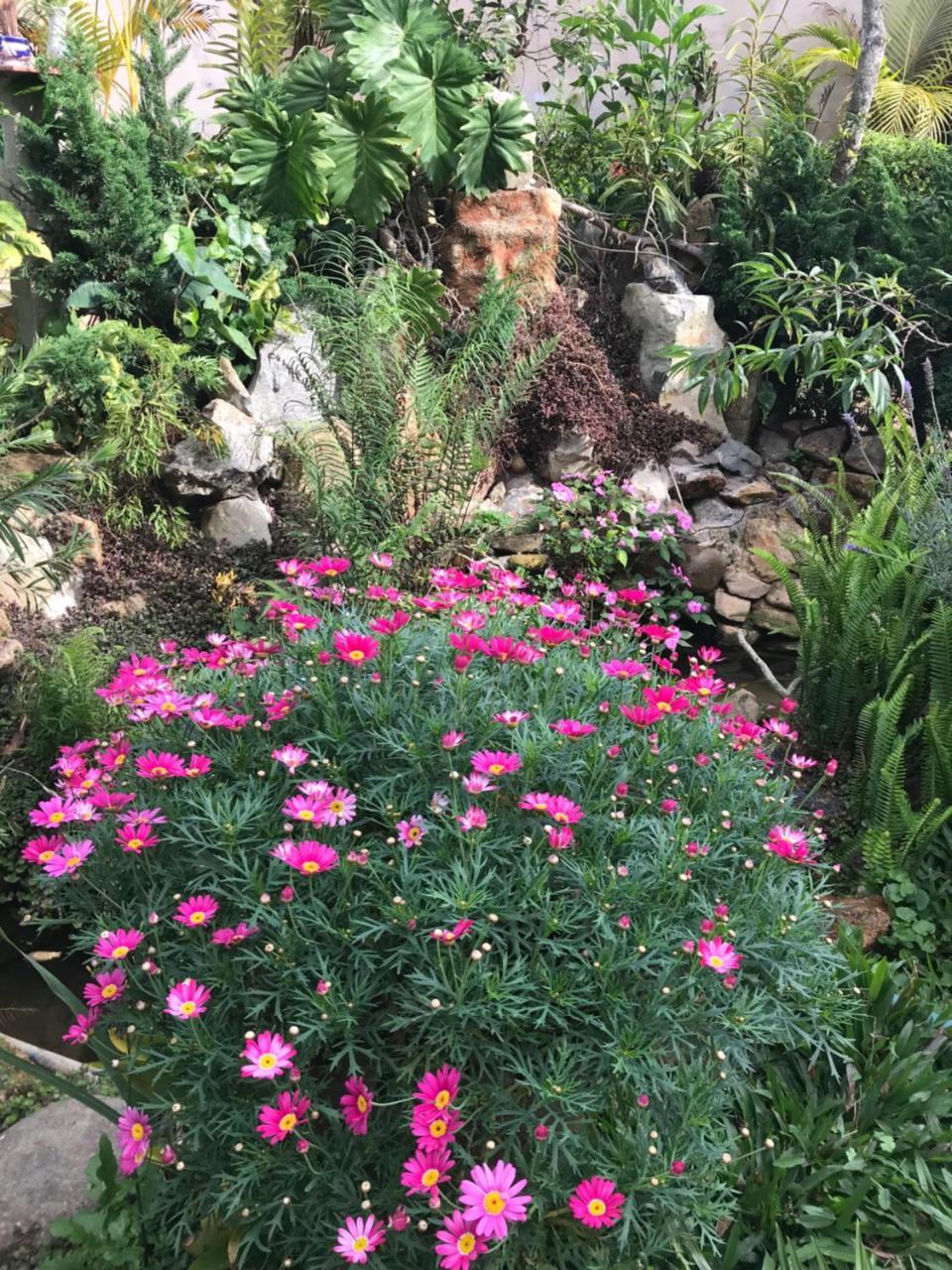De Daisy Villa Homestay Dalat Luaran gambar