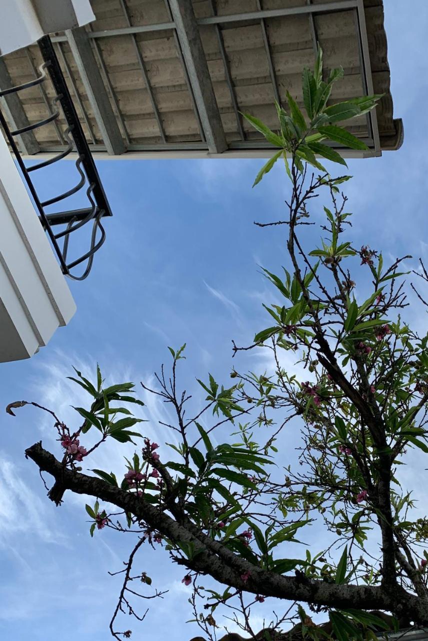 De Daisy Villa Homestay Dalat Luaran gambar