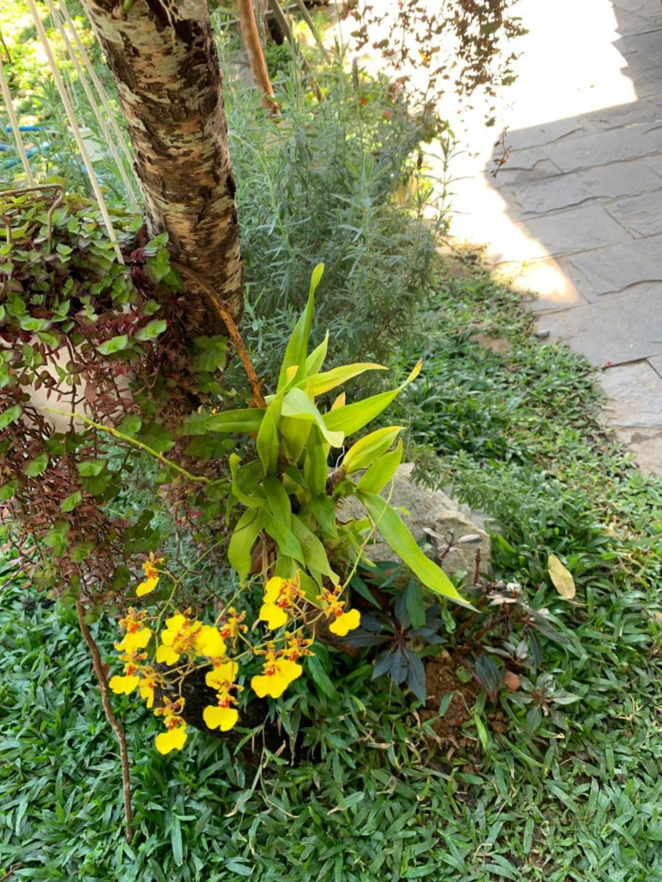 De Daisy Villa Homestay Dalat Luaran gambar
