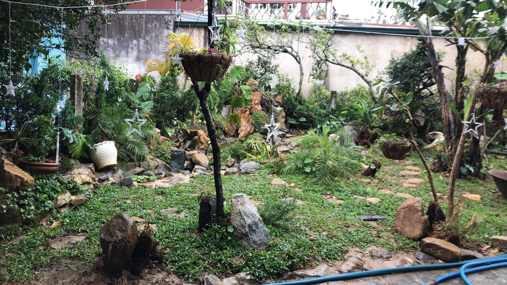 De Daisy Villa Homestay Dalat Luaran gambar